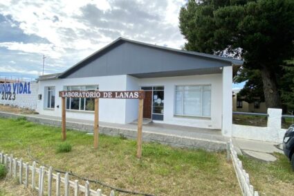 Calidad certificada: el Laboratorio de Lanas del CAP impulsa la producción santacruceña