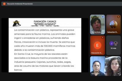Ambiente: lanzan campaña para concientizar sobre el impacto del plástico en la vida marina