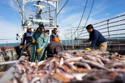 El Gobierno de Santa Cruz suma medidas para fortalecer la actividad pesquera en Puerto Deseado